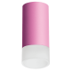 Накладной светильник Lightstar Rullo R43231 (214432+202431)