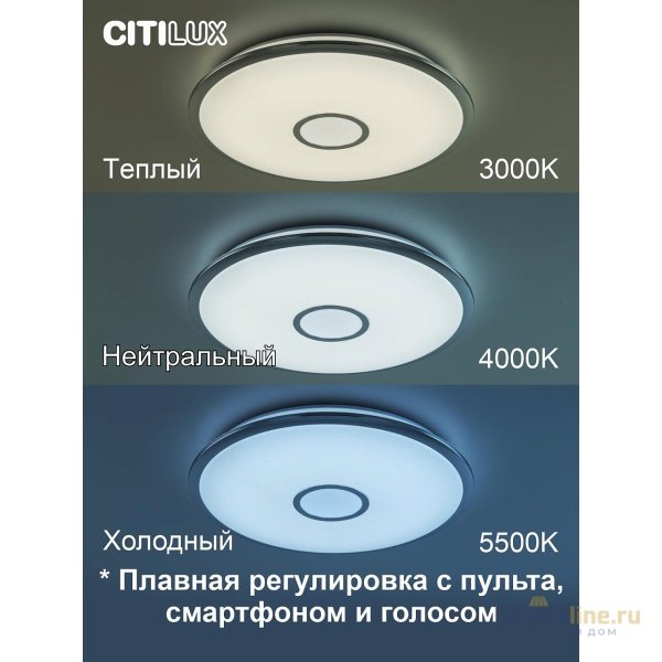 Накладной светильник Citilux CL703A60G Накладной светильник Citilux CL703A60G