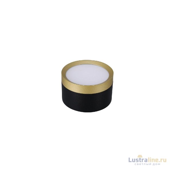 Накладной светильник Lucia Tucci Fumi LTP-D002-01GX53-BG