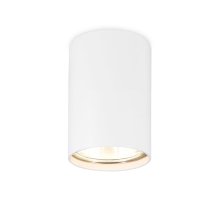 Накладной светильник Ambrella Light Techno Spot TN213101