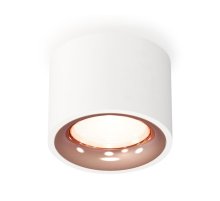 Потолочный светильник Ambrella Light Techno Spot XS7510025 (C7510, N7015)