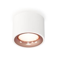 Потолочный светильник Ambrella Light Techno Spot XS7510025 (C7510, N7015)