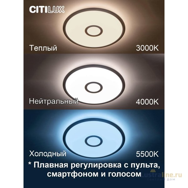 Накладной светильник Citilux CL703A30G