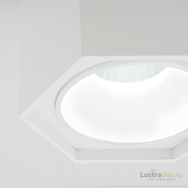 Накладной светодиодный светильник Elektrostandard 25037/LED 4690389176500