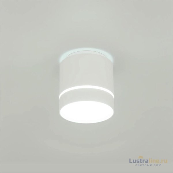 Накладной светильник Citilux Борн CL745020N