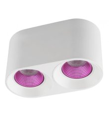 Накладной светильник Denkirs DK3096-WH+PI