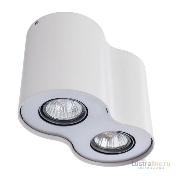 Потолочный светильник Arte Lamp Falcon A5633PL-2WH