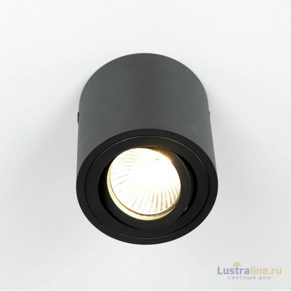 Накладной светильник Citilux Дюрен CL538113 Накладной светильник Citilux Дюрен CL538113