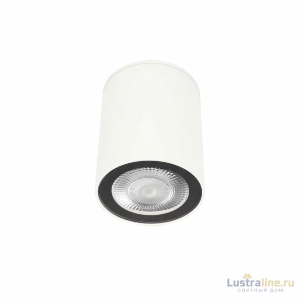 Накладной светильник Loft IT Rush 10344 White Накладной светильник Loft IT Rush 10344 White