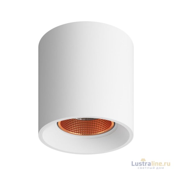 Накладной светильник Denkirs Dk3040 DK3090-WBR