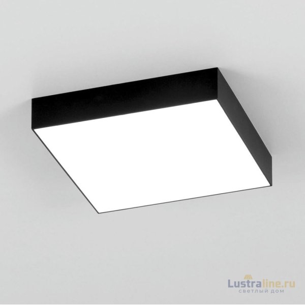 Накладной светодиодный светильник Citilux Тао CL712X242N