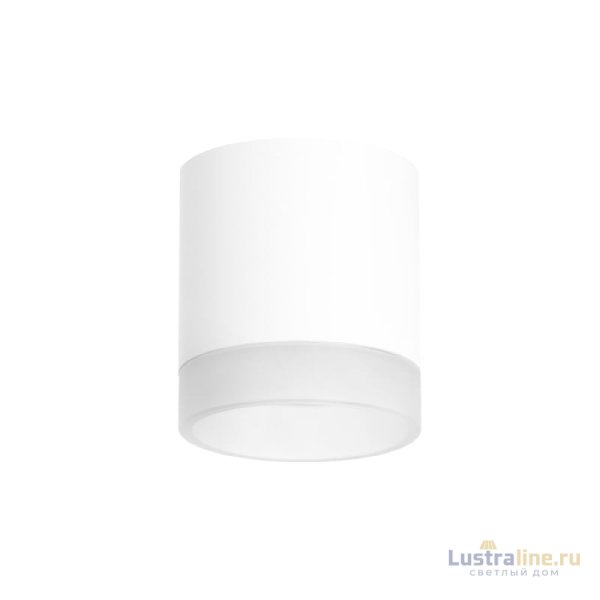 Накладной светильник Lightstar Rullo (213486+202480) R348680 Накладной светильник Lightstar Rullo (213486+202480) R348680
