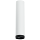 Накладной светильник Lightstar Rullo R4963437 (214496+203437)