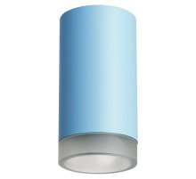 Накладной светильник Lightstar Rullo R43530 (214435+202430)