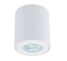 Накладной светильники Arte Lamp Tino A1469PL-1WH