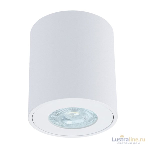 Накладной светильники Arte Lamp Tino A1469PL-1WH