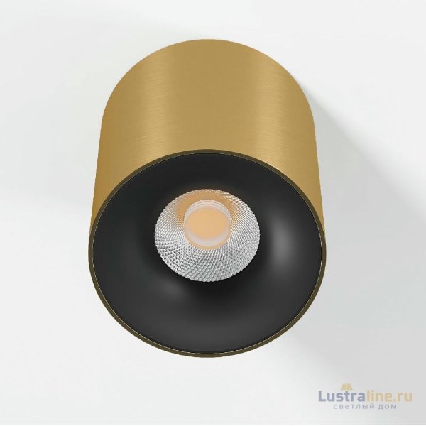Накладной светильник Elektrostandard Primo 25116/LED 4690389212994 a069413