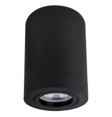 Накладной светильник Arte Lamp Sentry A1566PL-1BK