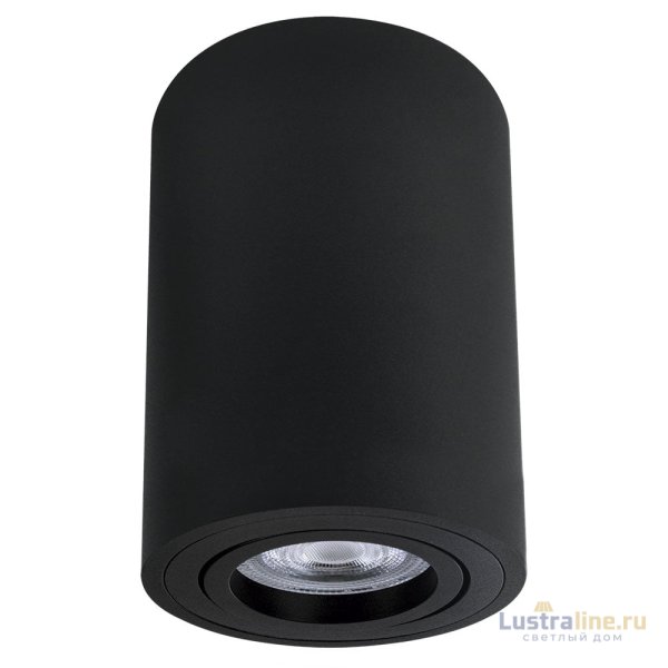 Накладной светильник Arte Lamp Sentry A1566PL-1BK