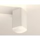 Потолочный светильник Ambrella Light Techno Spot XS7820022 (C7820, N7756)