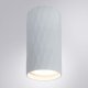 Накладной светильник Arte Lamp Fang A5557PL-1WH