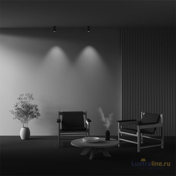 Накладной светильник Maytoni Focus Led C056CL-L12W4K-W-BS