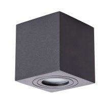Накладной светильник ARTE Lamp A1461PL-1BK