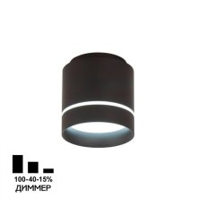 Накладной светильник Citilux Борн CL745021N