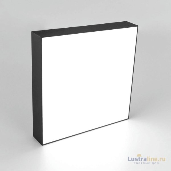 Накладной светодиодный светильник Citilux Тао CL712X242N