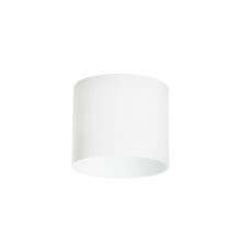 Накладной светильник Lightstar Rullo 213486