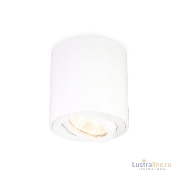 Накладной светильник Ambrella Light Techno Spot TN22701 Накладной светильник Ambrella Light Techno Spot TN22701