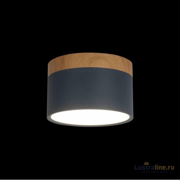 Накладной светильник Loft IT Grape 10162 Blue Накладной светильник Loft IT Grape 10162 Blue