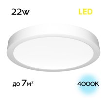 Накладной светильник Citilux Галс CL5522N