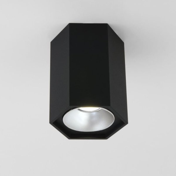 Накладной светодиодный светильник Elektrostandard 25036/LED 4690389176494