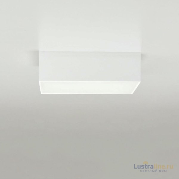 Накладной светодиодный светильник Citilux Тао CL712X120N