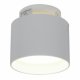 Накладной светильник Reluce 53006-9.5-001IL GX53+LED3W WT