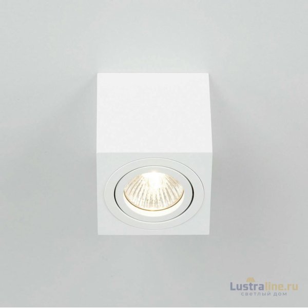 Потолочный светильник Citilux Дюрен CL538211 Потолочный светильник Citilux Дюрен CL538211
