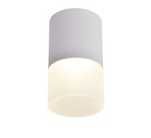 Накладной светильник Favourite Naram 3069-1C