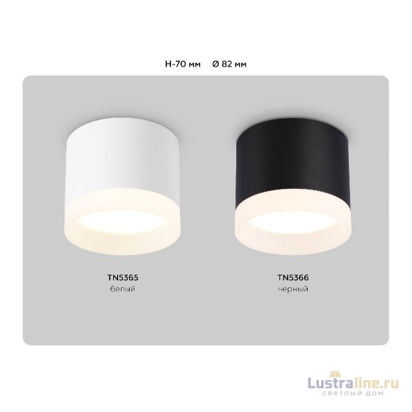 Накладной светильник Ambrella Light Acrylic Frost TN5365 Накладной светильник Ambrella Light Acrylic Frost TN5365