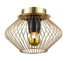 Накладной светильник Lussole Loft Brooks LSP-8248