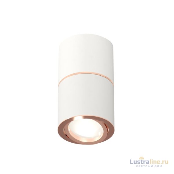 Потолочный светильник Ambrella Light Techno Spot XS7401220 (C7401, A2073, C7401, N7005)