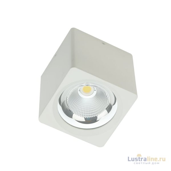 Накладной светильник Fiberli CH-SD220-1 12120101 Накладной светильник Fiberli CH-SD220-1 12120101