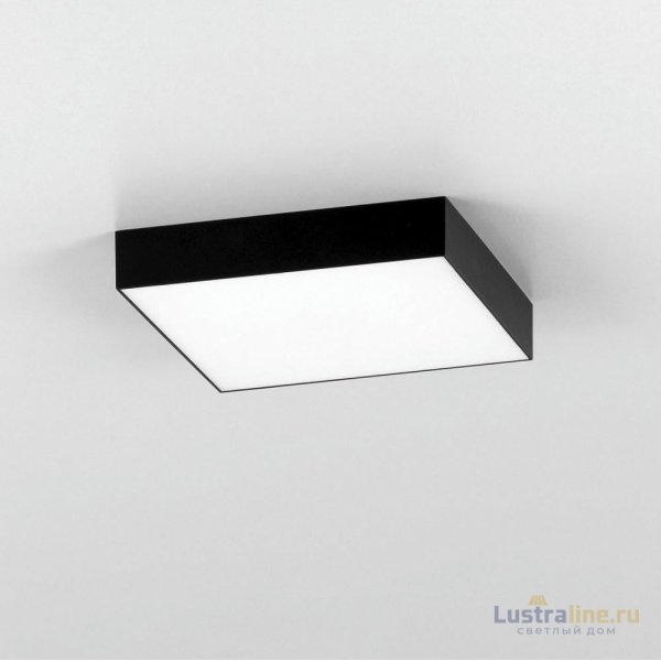 Накладной светодиодный светильник Citilux Тао CL712X242N