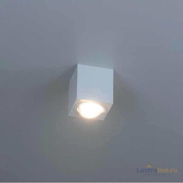Потолочный светильник Citilux Дюрен CL538211 Потолочный светильник Citilux Дюрен CL538211