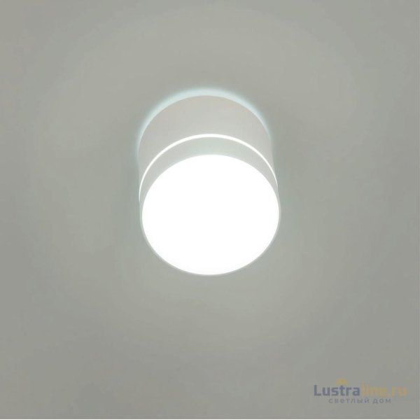 Накладной светильник Citilux Борн CL745020N