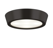 Потолочный светильник Lightstar Urbano Mini LED 214772 УЦ