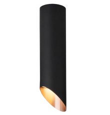Потолочный светильник Elektrostandard DLN115 GU10 черный/золото 4690389151194