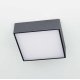 Накладной светильник Citilux Тао CL712X122N