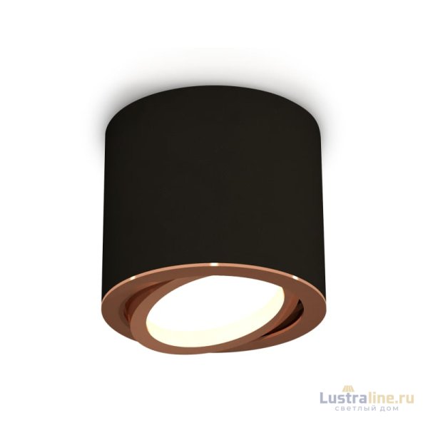 Накладной поворотный светильник Ambrella Light Techno XS7402004 (C7402, N7005)