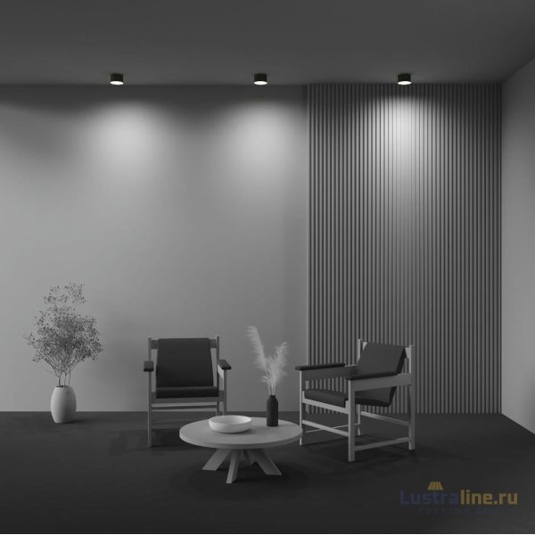Накладной светильник Maytoni Zon C032CL-12W2.7K-RD-B
